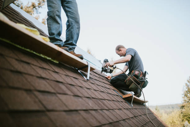 Best Roof Gutter Cleaning  in Ridgebury, CT